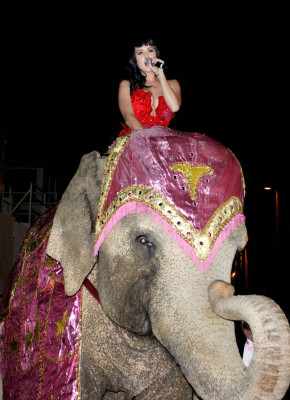 Katy Perry pic #406675