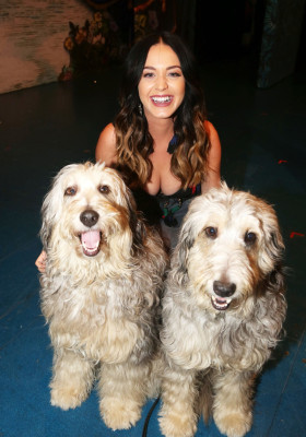 Katy Perry pic #793615