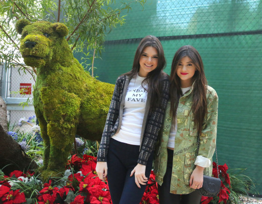 Kendall Jenner pic #563379