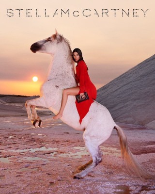 Kendall Jenner pic #1333916