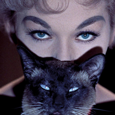 photo 5 in Kim Novak gallery [id1255457] 2021-05-12 00:00:00