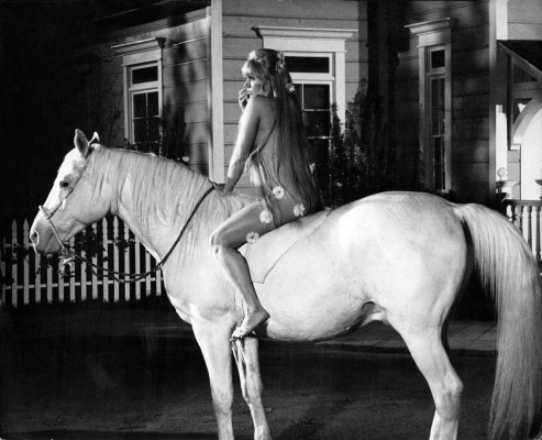 Kim Novak pic #356863