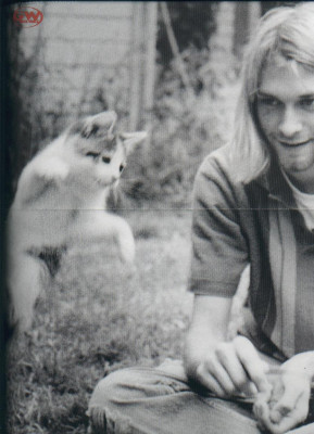 photo 7 in Cobain gallery [id148154] 2009-04-21 00:00:00