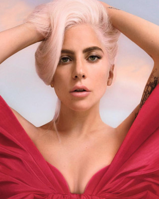 photo 26 in Lady Gaga gallery [id1233846] 2020-09-21 00:00:00