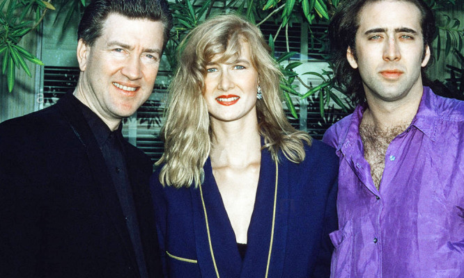 Laura Dern pic #1310274