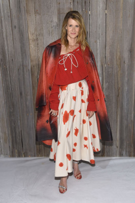 photo 6 in Laura Dern gallery [id1009968] 2018-02-16 00:00:00