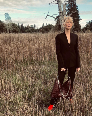 Laura Dern pic #1237940