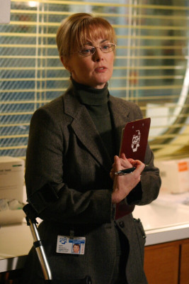 Laura Innes pic #311462