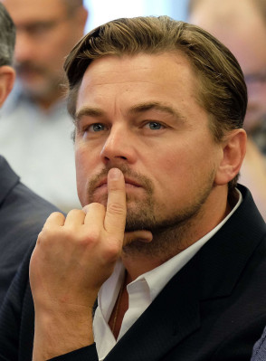 Leonardo DiCaprio pic #837215