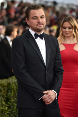 photo 9 in Leonardo DiCaprio gallery [id831166] 2016-02-01 00:00:00