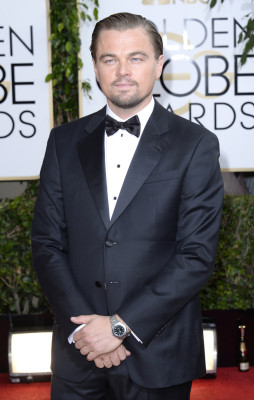 Leonardo DiCaprio pic #662208