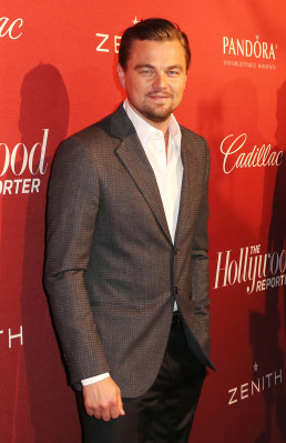 Leonardo DiCaprio pic #856324