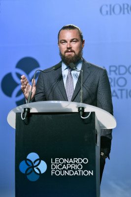 photo 24 in Leonardo DiCaprio gallery [id841137] 2016-03-20 00:00:00