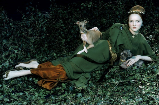 Lily Cole pic #255250