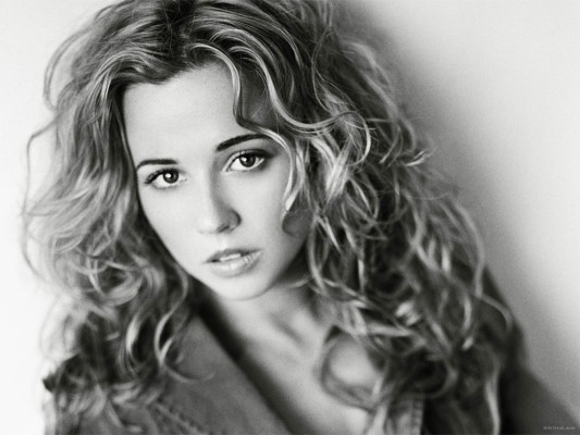 photo 7 in Cardellini gallery [id215991] 2009-12-17 00:00:00