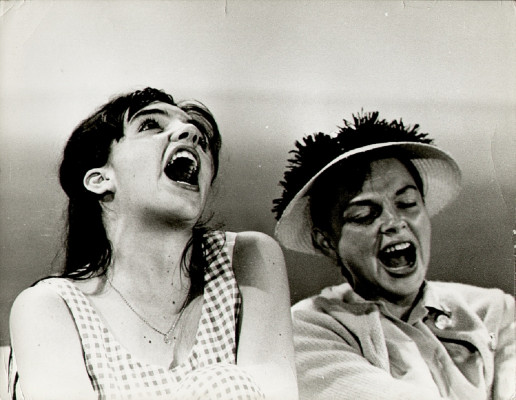 Liza Minnelli pic #459802