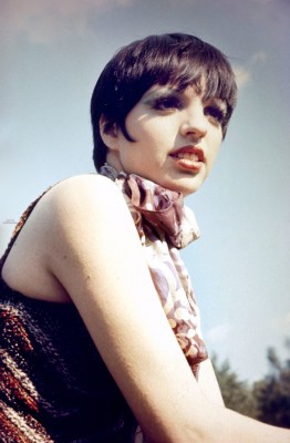Liza Minnelli pic #136546