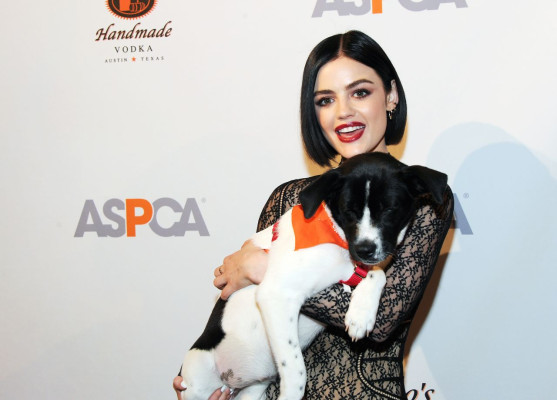 Lucy Hale pic #926568