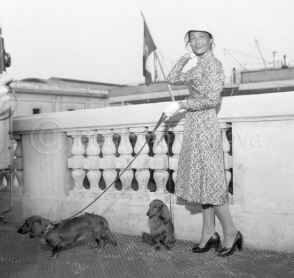 Luise Rainer pic #321495