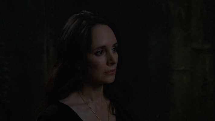 photo 22 in Madeleine Stowe gallery [id1265865] 2021-08-27 00:00:00