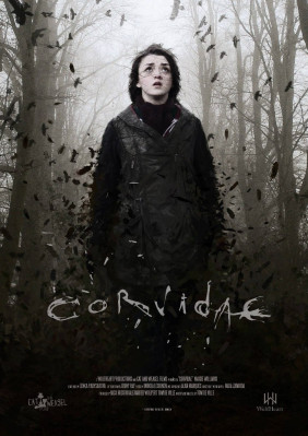 Maisie Williams pic #711269