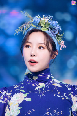 Mamamoo         pic #1297942