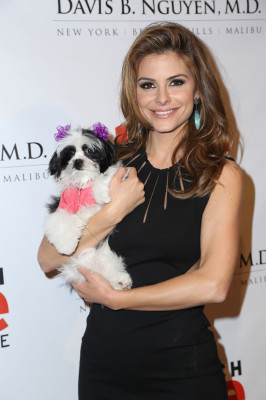 photo 11 in Menounos gallery [id586136] 2013-03-22 00:00:00