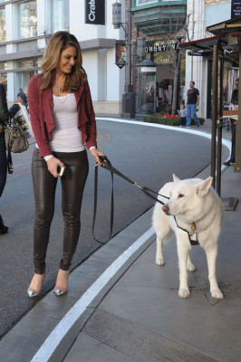photo 4 in Menounos gallery [id575130] 2013-02-15 00:00:00