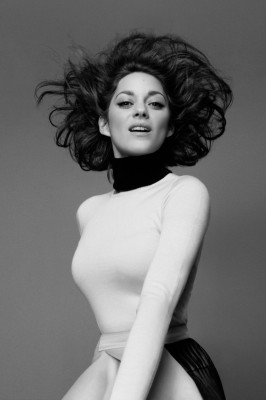 photo 19 in Cotillard gallery [id738475] 2014-11-06 00:00:00