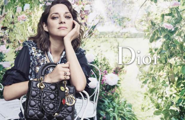 photo 15 in Cotillard gallery [id888942] 2016-10-29 00:00:00