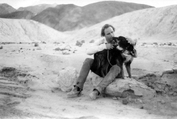 Marlon Brando pic #465658