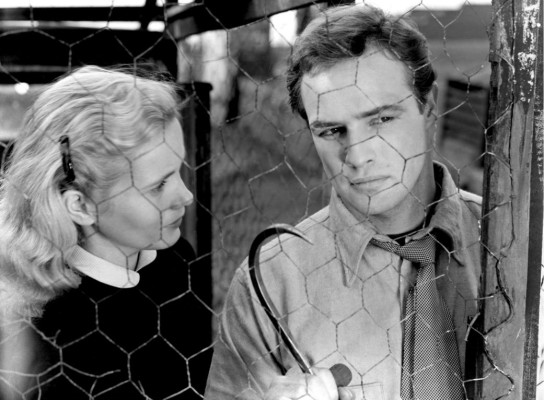 Marlon Brando pic #384161