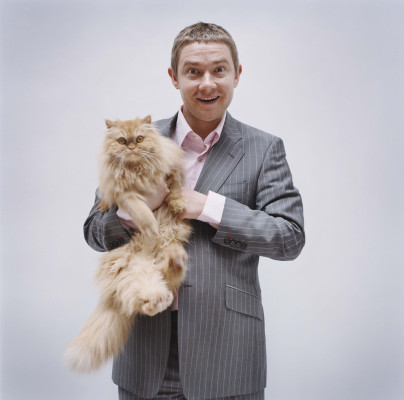 Martin Freeman pic #631960