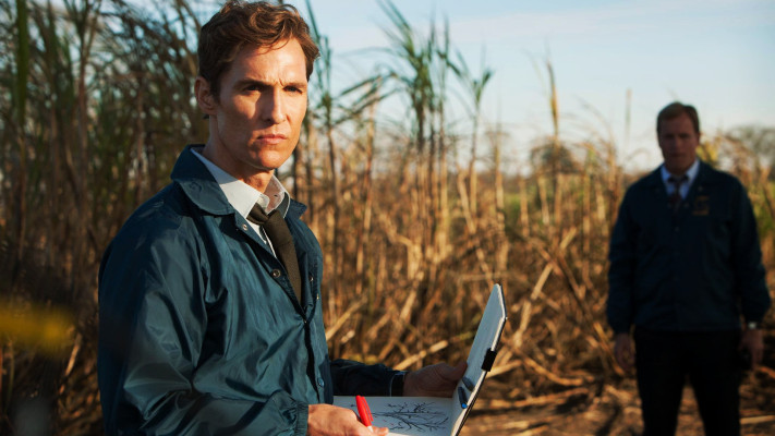 photo 3 in McConaughey gallery [id695352] 2014-05-08 00:00:00