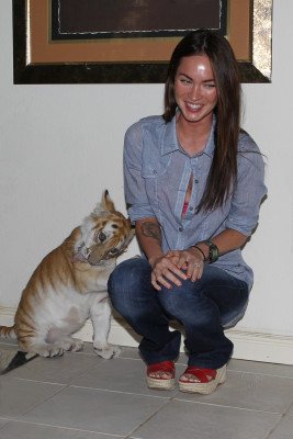 Megan Fox pic #461080
