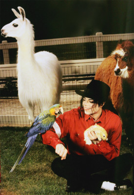Michael Jackson pic #981132