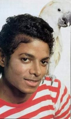 Michael Jackson pic #168007