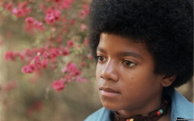 Michael Jackson pic #171834