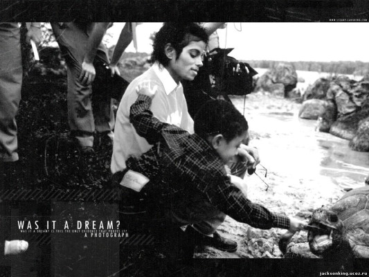 Michael Jackson pic #171914