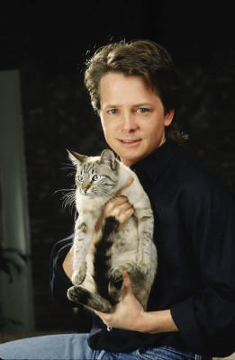 Michael J. Fox pic #198895