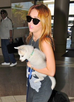 Miley Cyrus pic #396074