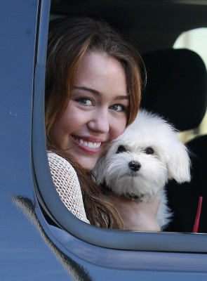 Miley Cyrus pic #161099