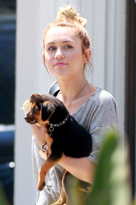 Miley Cyrus pic #488458