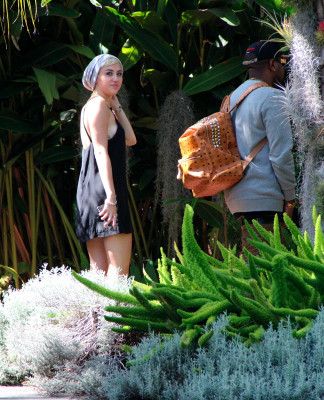 Miley Cyrus pic #593444