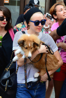 Miley Cyrus pic #722678