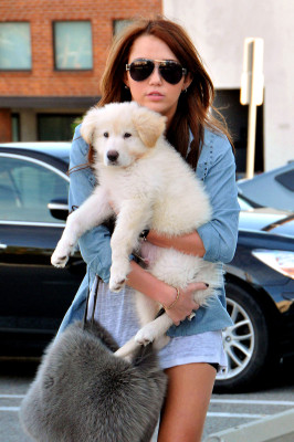 Miley Cyrus pic #233659