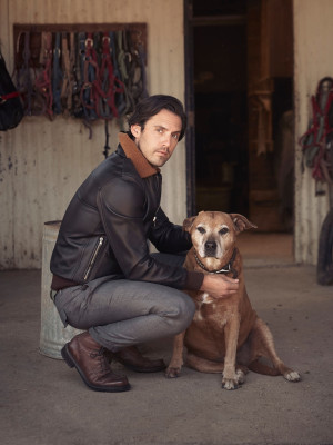 Milo Ventimiglia pic #1231635