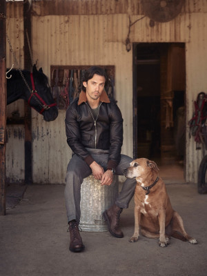 Milo Ventimiglia pic #1231631