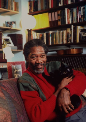 Morgan Freeman pic #195964