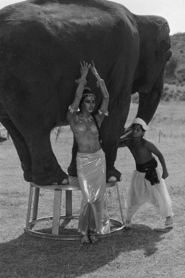 Naomi Campbell pic #482135